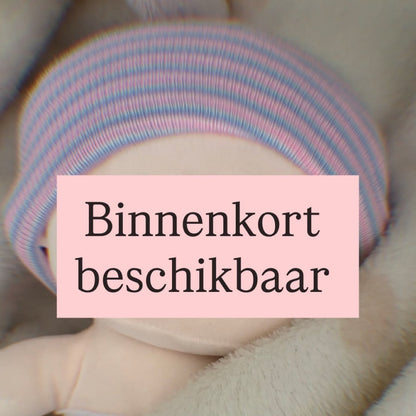 MiniMensje • 2500 gram en hoger